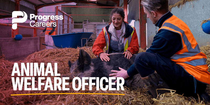 Animal welfare officer